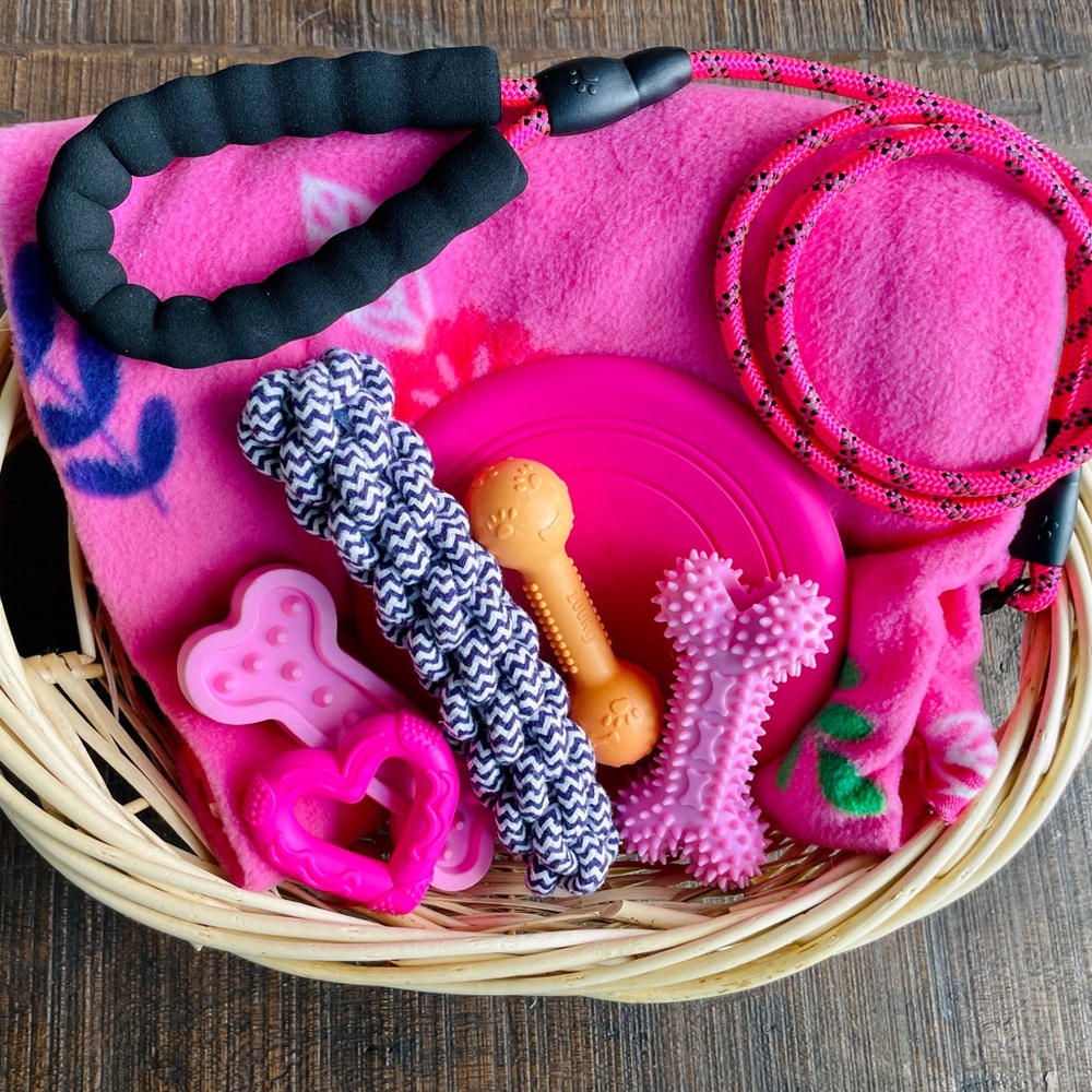 🆕Brand New🆕🦮🐾Pet Dog Gift Bags & Baskets 🆕🧺 🐩🦴💞🐾